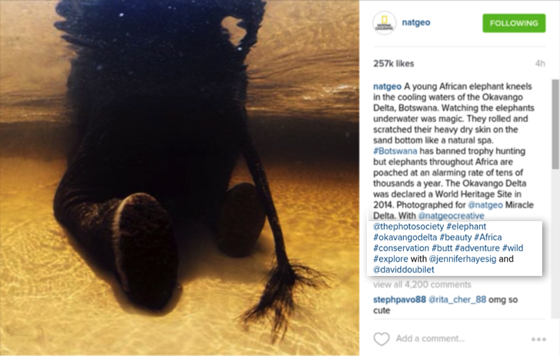 Ramp Up Your Brand S Instagram Account With These Tips Tools