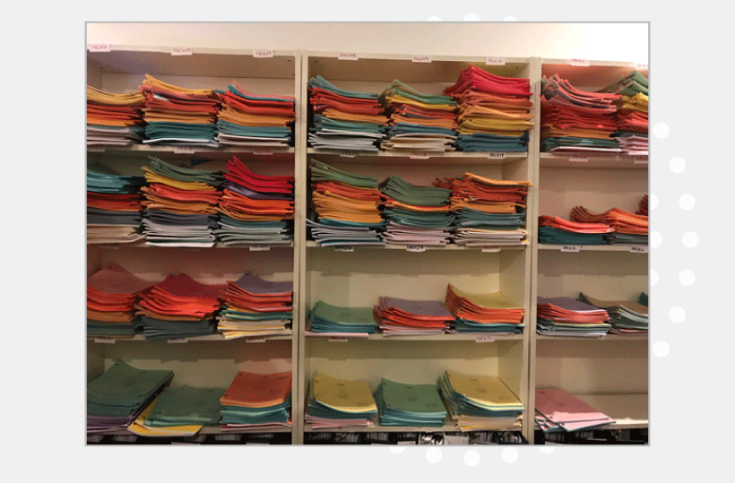 Color scheme of scripts in the queue for 'Family Guy'