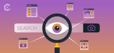Visual Search Opportunities