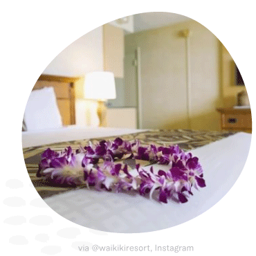 Customer Story Waikiki Results
