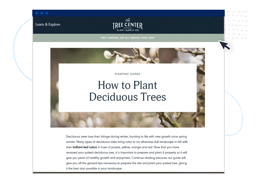 Extra long-form evergreen content example: How to plant deciduous trees