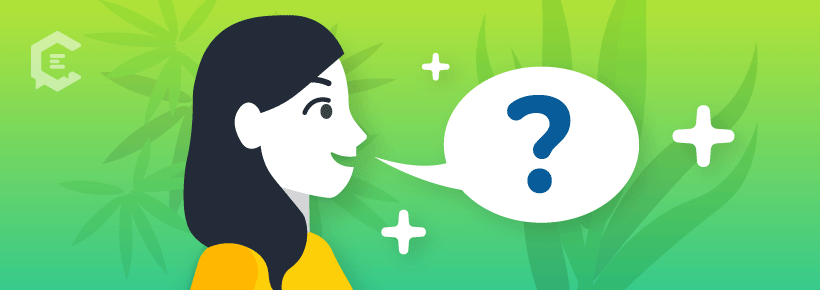 Freelance leaders know how to ask clients the right questions.