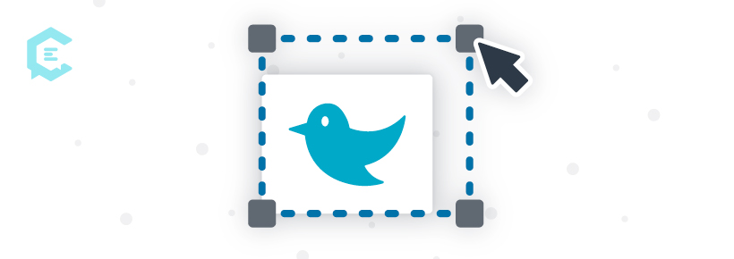 twitter image sizes